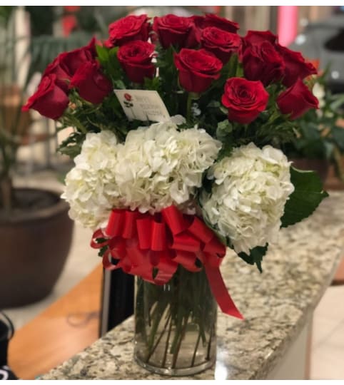 2 DOZEN RED ROSES WITH HYDRENGEA VASE. An arrangement by BellaRosa Gardens.