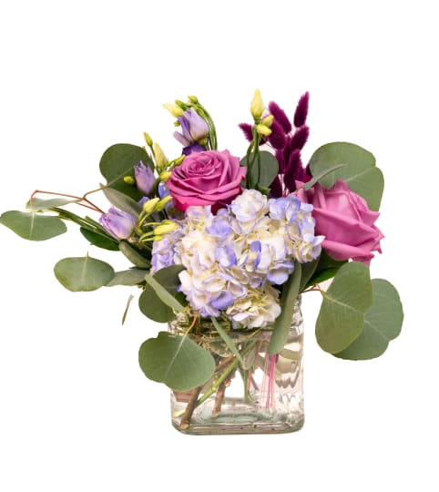 Parisian Plum. An arrangement by Stargazer Premier Florist.