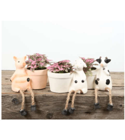 2.25" Barnyard Animals Planter w/Polka Dots Plant