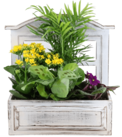 6x11" Window Box Wood Planter