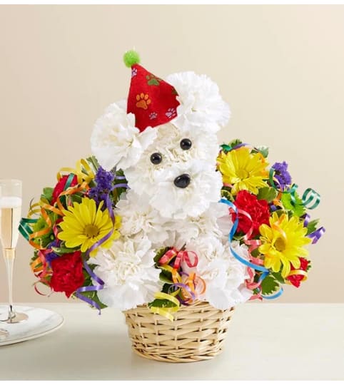 ANOTHER YEAR ROVER. An arrangement by J.D. Ballantine's Flowers and Gifts.