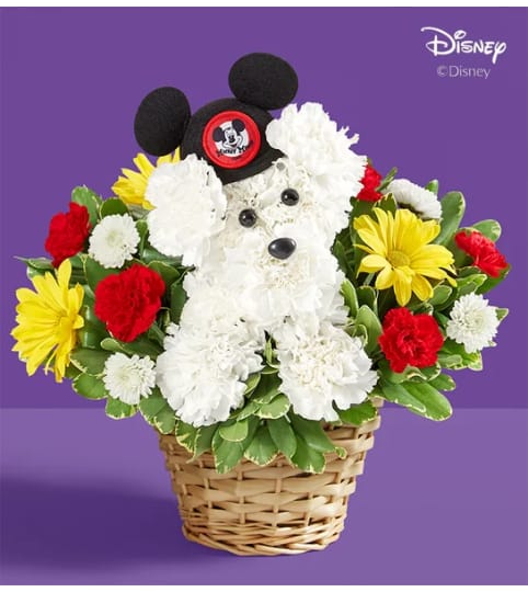 DISNEY DOGABLE. An arrangement by J.D. Ballantine's Flowers and Gifts.