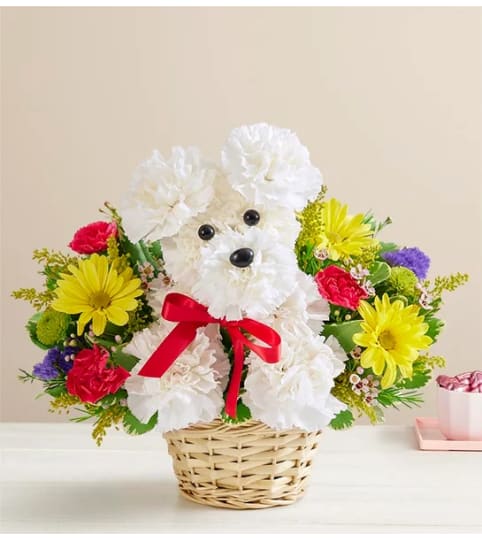 DOG-ABLE IN A BASKET. An arrangement by J.D. Ballantine's Flowers and Gifts.