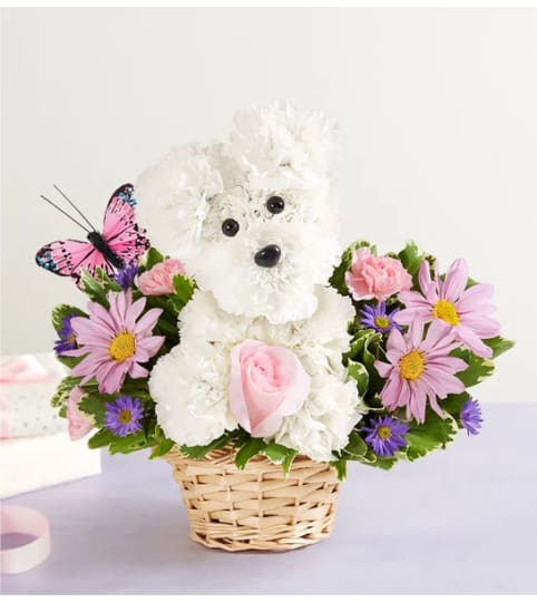 PRECIOUS PUP. An arrangement by J.D. Ballantine's Flowers and Gifts.