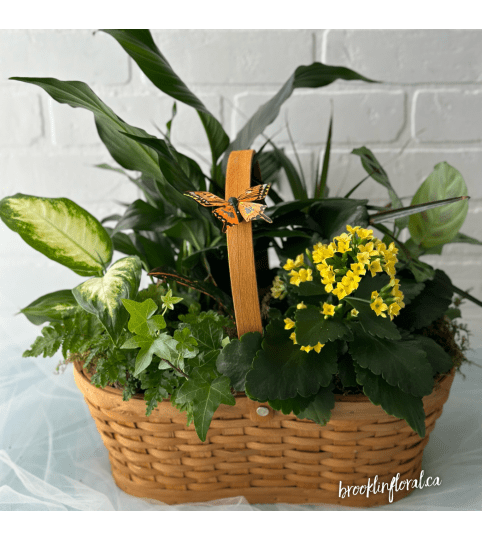 Wooden Basket Tropical Garden