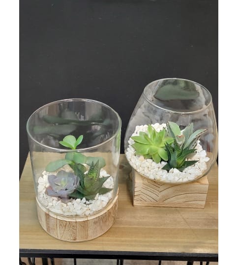 Succulent Terrarium