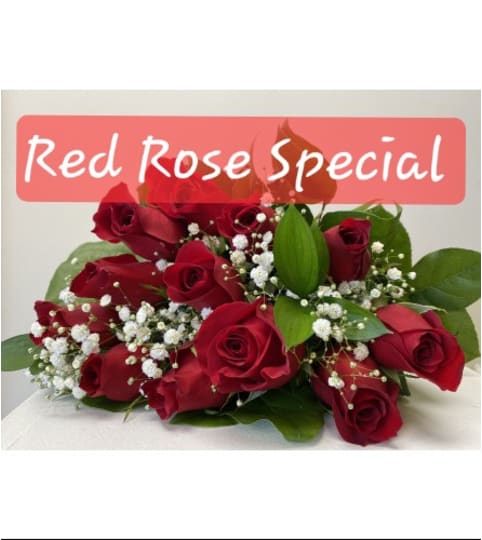 Red Rose Special Price