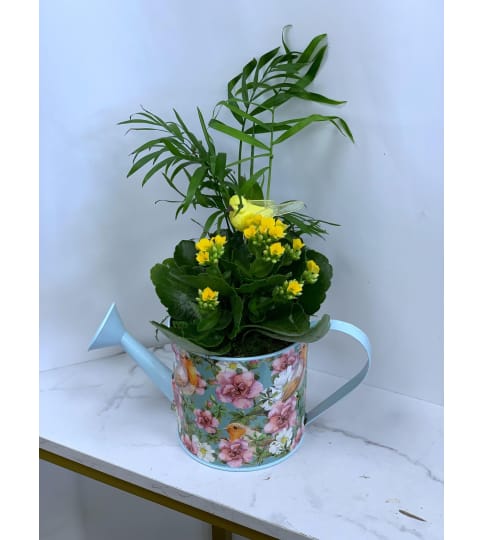 Darcy Watering Can Planter Garden