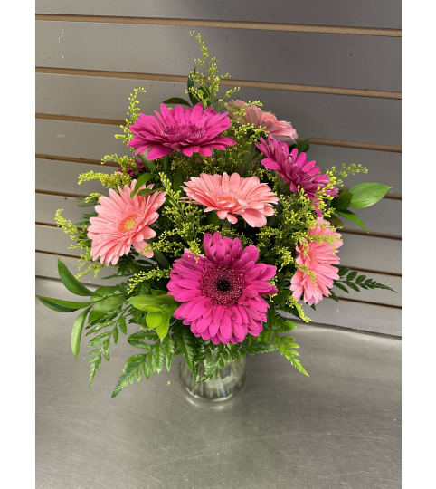 Pink gerbera daisies