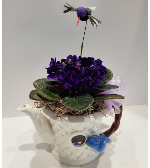 Tea Pot African Violet Planter