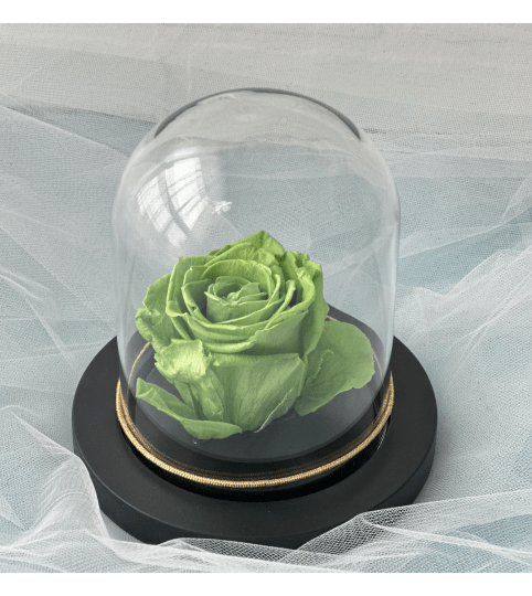 Enchanted Rose (Green)