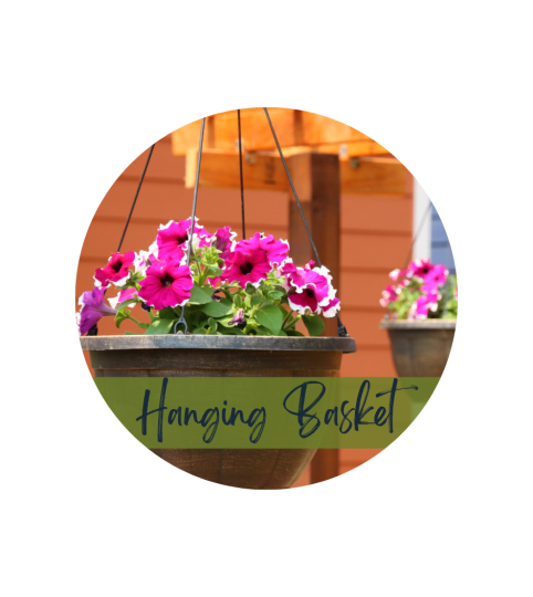 Bright & Colorful Outdoor Hanging Basket