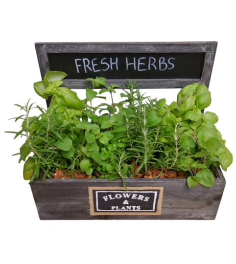 Frsh Herbs Wood Box