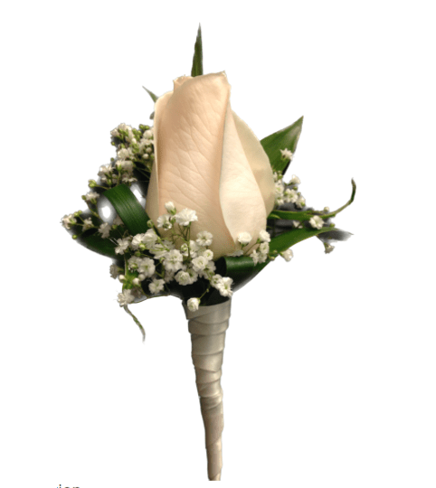 White Rose Boutonnière