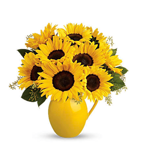 Sunny Day Pitcher of Sunflowers. An arrangement by Elegant Florist.