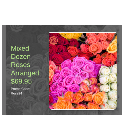 Dozen Mixed Roses. An arrangement by Donato's Floral.