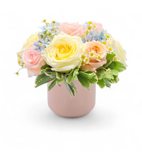 Fairy Garden Delight. An arrangement by Appleblossoms.
