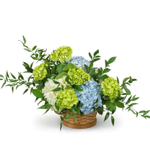 Hydrangea Basket. An arrangement by Flowers and Beyond.