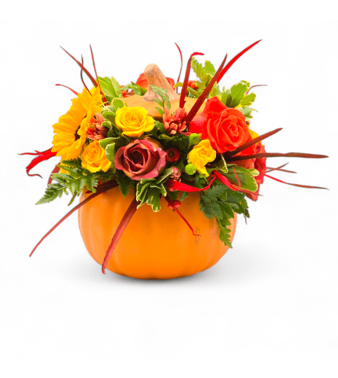 Seasonal Pumpkin. An arrangement by Appleblossoms.