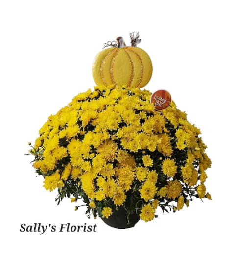 Sally's Harvest Pumpkin Mums. An arrangement by Triple A Florist.