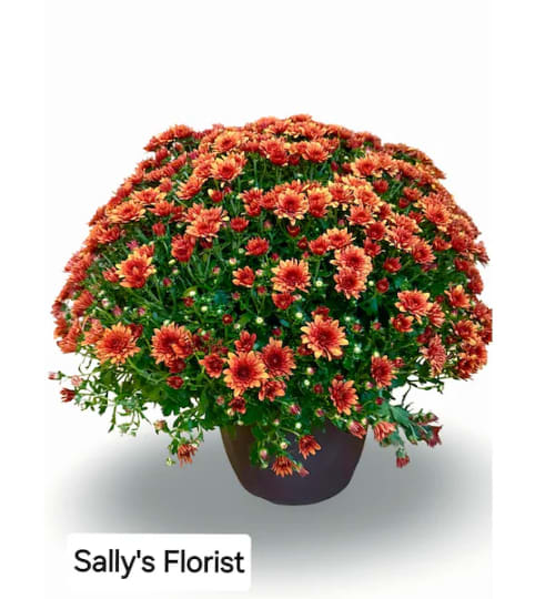 Sally's Fall Garden mom large. An arrangement by Triple A Florist.