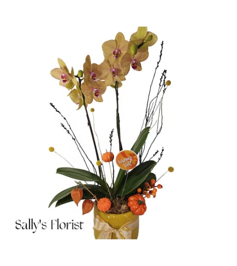 Sally's Fall Orchid. An arrangement by Triple A Florist.