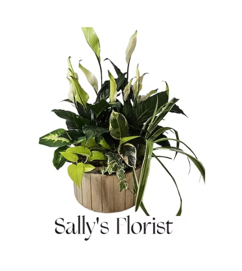 Sally's Peaceful Reflections Planter. An arrangement by Triple A Florist.
