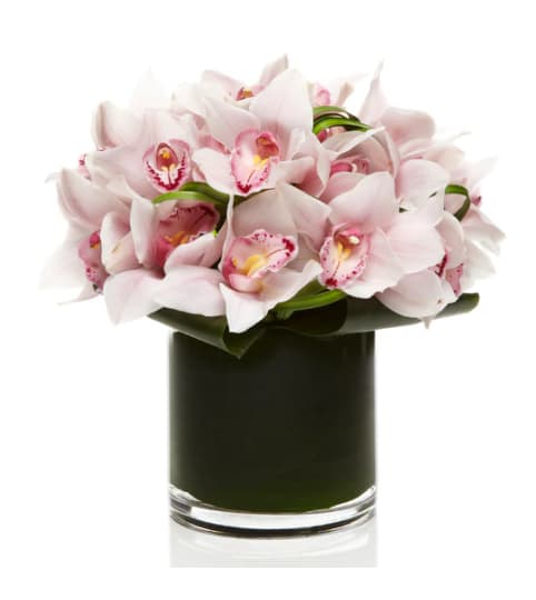 Blushing Bombshell by Twigs and Blooms. An arrangement by Twigs and Blooms Florist.
