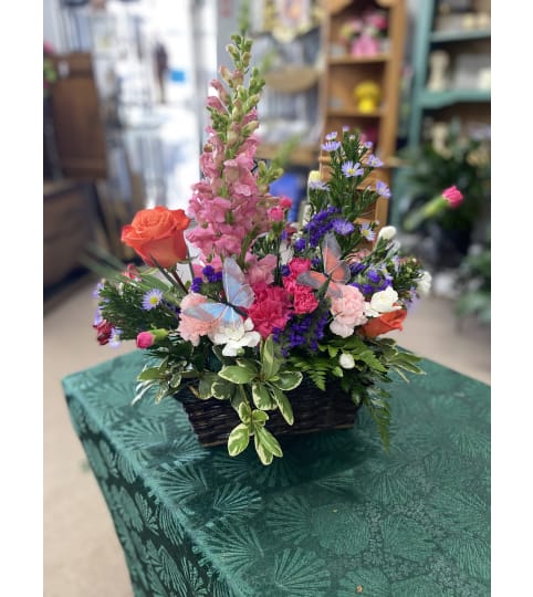 Butterfly Garden Basket. An arrangement by Bryan's Flowers and Gift Shop.