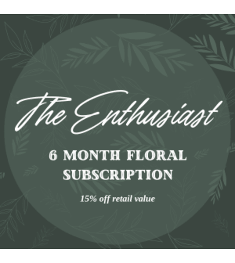 The Enthusiast 6 Month Floral Subscription. An arrangement by Chamberlains by Modern Bloom.