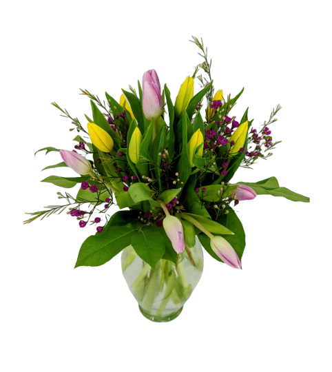 Blumz Tulip Kiss Garden. An arrangement by Blumz Floral Boutique.