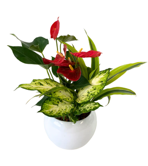 A Tropical Moment. An arrangement by Loyalist Flowers.