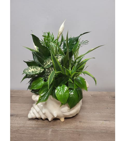 Floridian Foliage. An arrangement by The Farmers Petals.