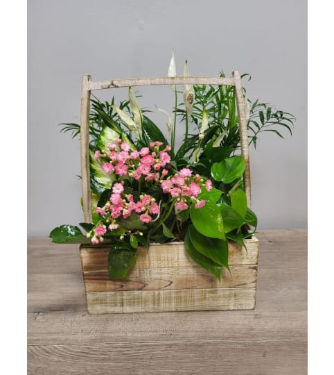 Mother's Garden. An arrangement by The Farmers Petals.