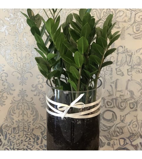 ZZ Fabulous. An arrangement by Fletcher Heights Florist.