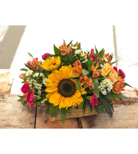 Radiant Joy Basket. An arrangement by Bouquets N Things.