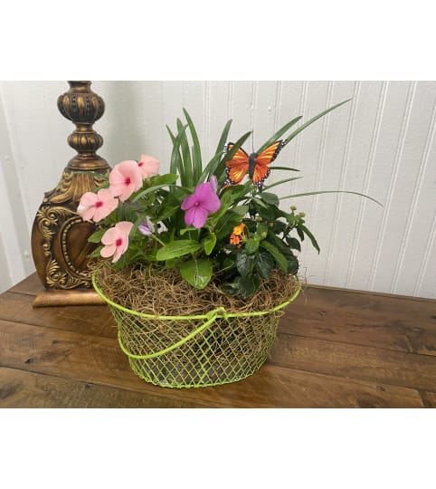 Blooming Sympathy Floral Baskets (small - medium). An arrangement by The Flower Box Florist.