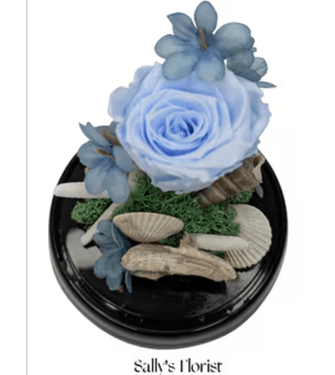 Sally’s Ocean Whisper Rose Preserved. An arrangement by Triple A Florist.