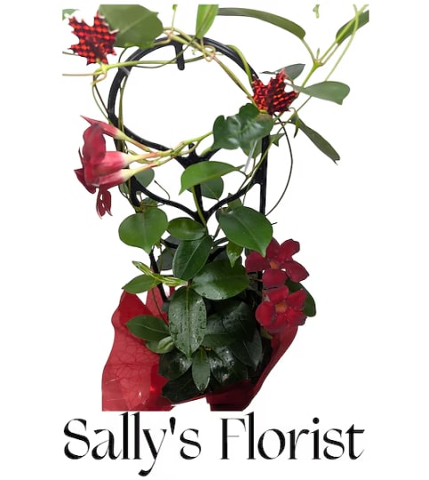 Sally’s Maple Kiss Climber. An arrangement by Triple A Florist.
