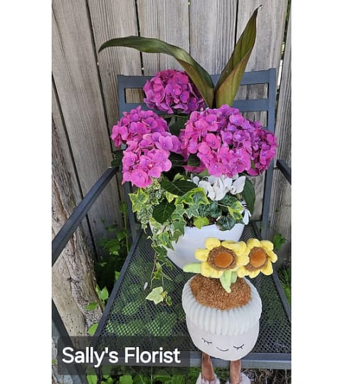Sally's Planter with Plush Plant. An arrangement by Triple A Florist.