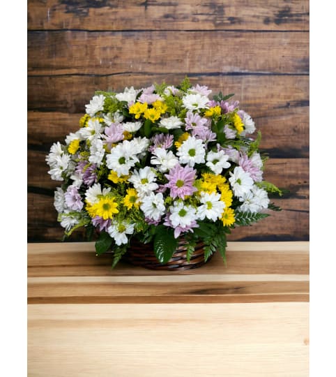 Pretty Daisy Basket. An arrangement by DMP Flowers and Gifts.