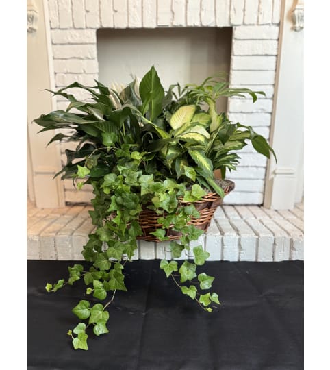 SECRET GARDEN BASKET. An arrangement by J.D. Ballantine's Flowers and Gifts.