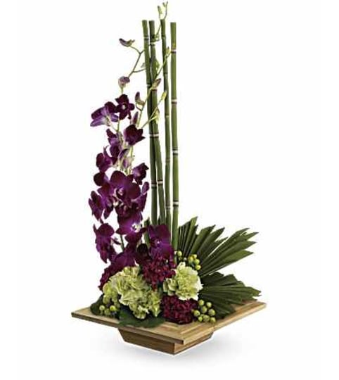 Zen Artistry PM T81-1A. An arrangement by Jennifer's Flowers and Gifts.