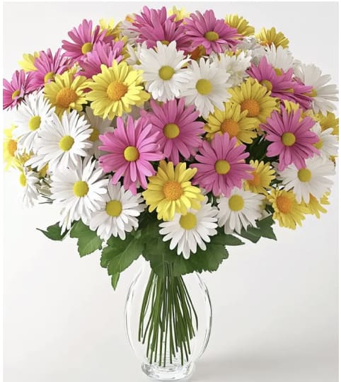 Daisy Daydream. An arrangement by The Flower Box Florist.