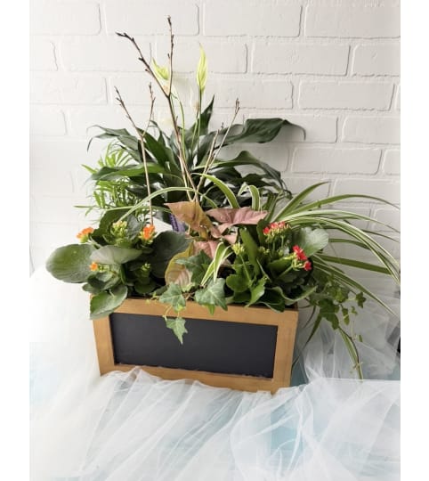 Large Wood Dish Garden Box. An arrangement by Brooklin Floral and Garden Shoppe Inc..