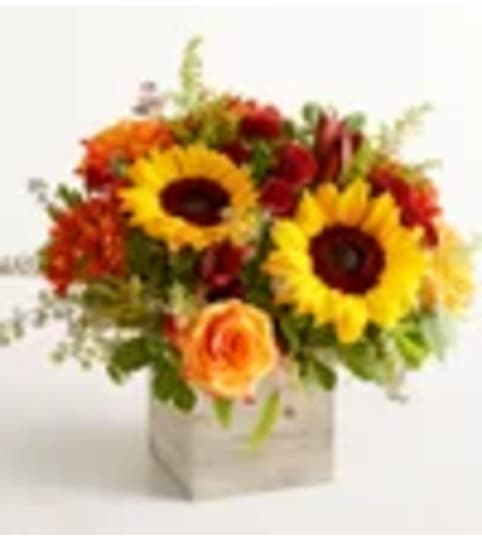 Fall Fabulous. An arrangement by Fletcher Heights Florist.