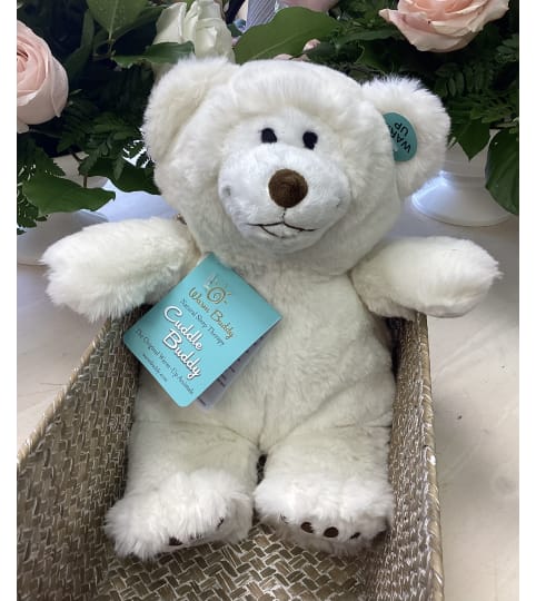 Barely Warm Buddy. An arrangement by Roma Flowers and Gifts.