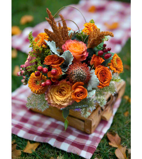 Falling For You. An arrangement by Flower Snobs at Cityview.