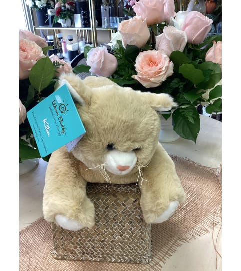 Warm Cute Kitty. An arrangement by Roma Flowers and Gifts.