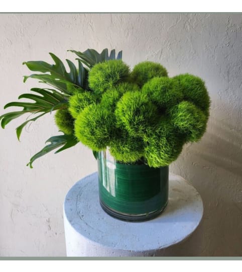Traquilium Organic. An arrangement by Brickell Ave Florist.
